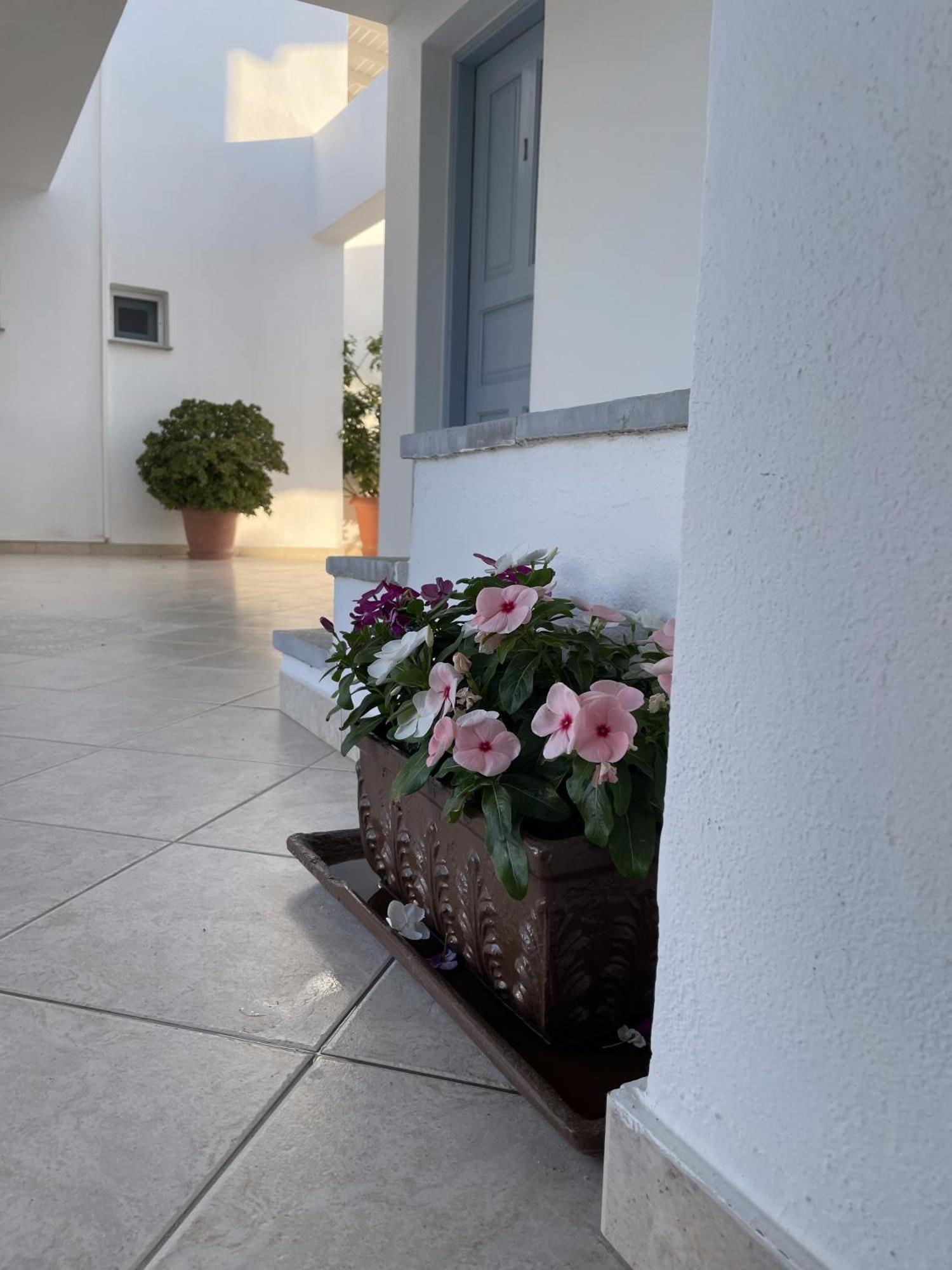 Mare Monte Studios Naxos Pláka Exterior foto