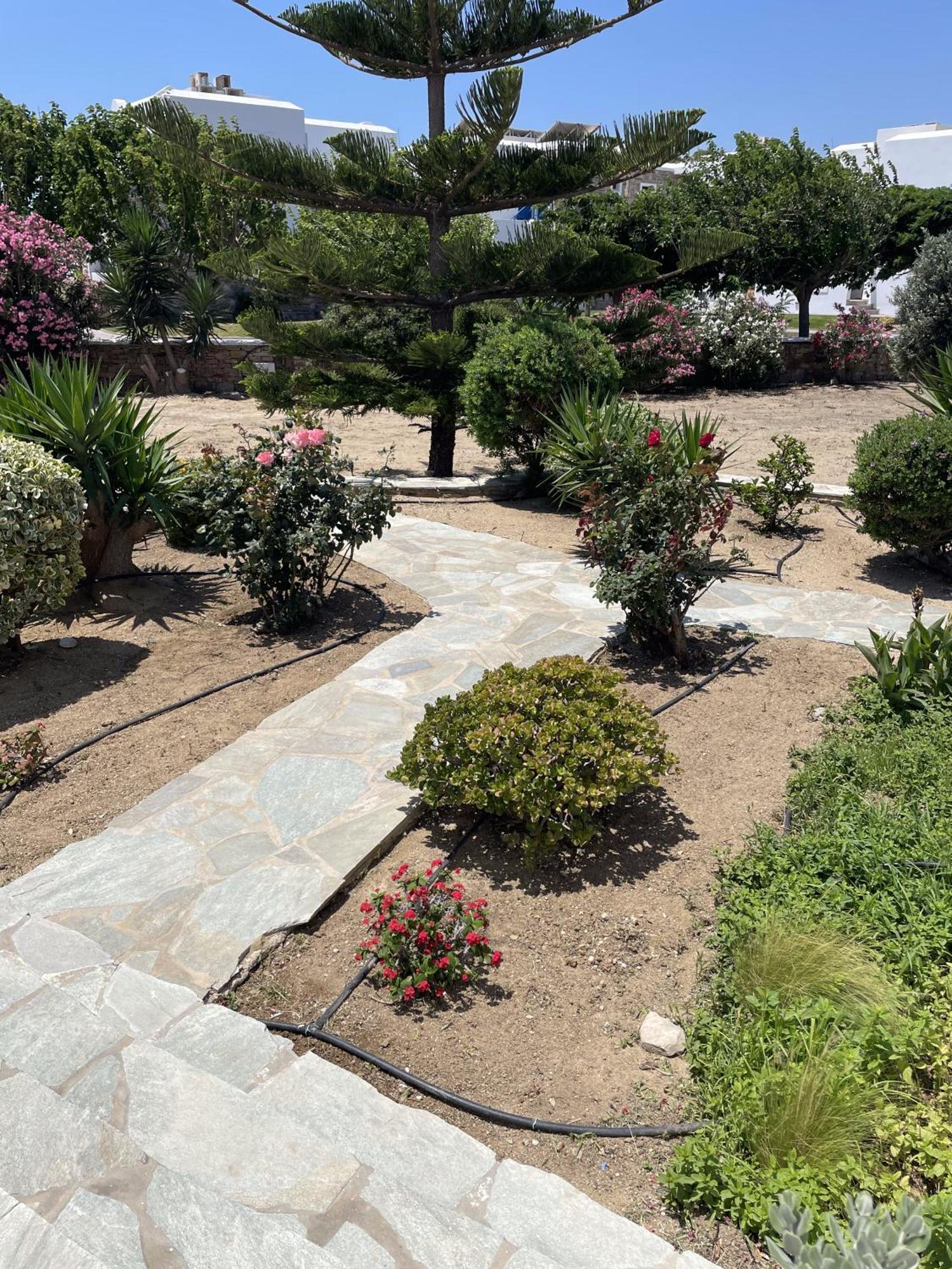Mare Monte Studios Naxos Pláka Exterior foto